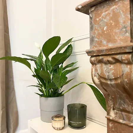 Le Coeur Battant De - Marche, Stade, Port A Deux Pas Διαμέρισμα *