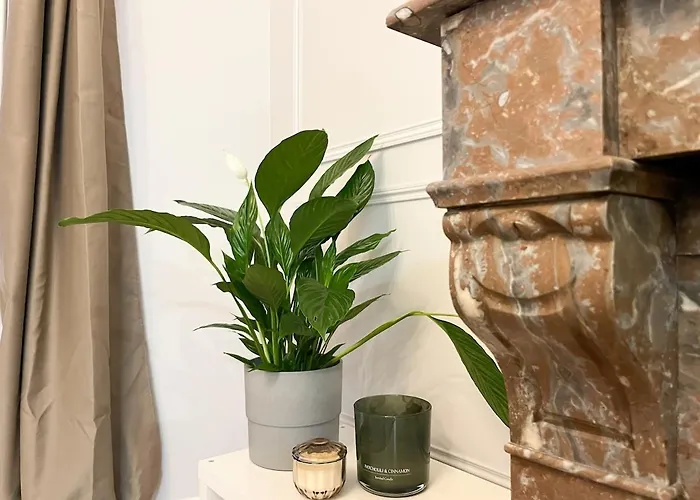 Le Coeur Battant De - Marche, Stade, Port A Deux Pas Διαμέρισμα *